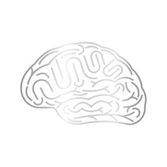 Brain. Human Brain. Creativity and Intelligence Concept. Vector Illustration.