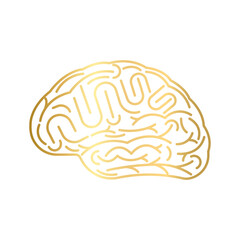 Brain. Human Brain. Creativity and Intelligence Concept. Vector Illustration.