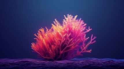 Obraz premium A minimalist style of an ocean coral 