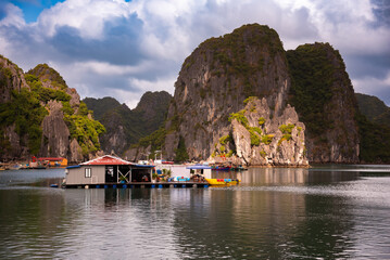 Ha Long bay in Vietnam with many islands and boats - 781464395