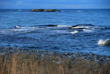 Seashore in Vigra, Norway.