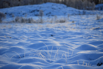Gule-/Stavikmyrane nature reserve in winter (More og Romsdal, Norway). - 781468313