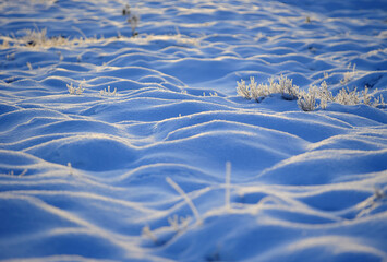 Gule-/Stavikmyrane nature reserve in winter (More og Romsdal, Norway).