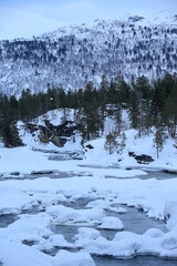 Winter river near Bjorli, Norway. - 781468723