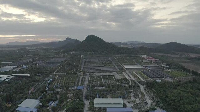 Aerial video of big garden in the morning time, Pattaya Thailand.