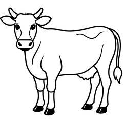     cow vector illustration
