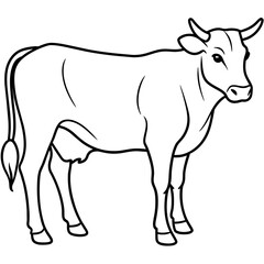     cow vector illustration
