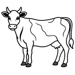 Fototapeta premium cow vector illustration 