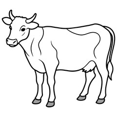     cow vector illustration

