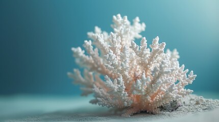 Fototapeta na wymiar A minimalist style of an ocean coral 