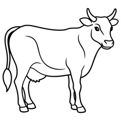     cow vector illustration
