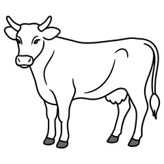     cow vector illustration
