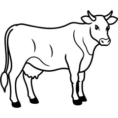 Fototapeta premium cow vector illustration 