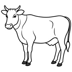 cow vector illustration
