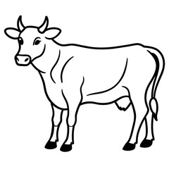 Fototapeta premium cow vector illustration