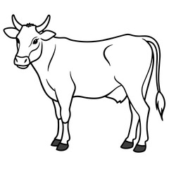 cow vector illustration