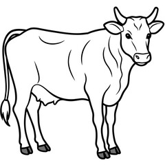 cow vector illustration