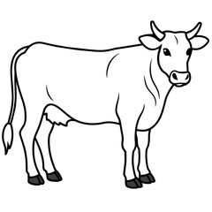 cow vector illustration