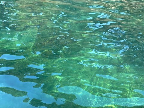 Green clear sea glittering surface 