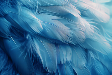 Close-Up of Soft Blue Feathers Texture Background - obrazy, fototapety, plakaty