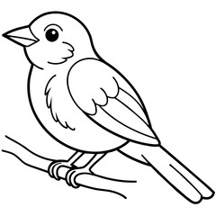  Bird vector illustration.