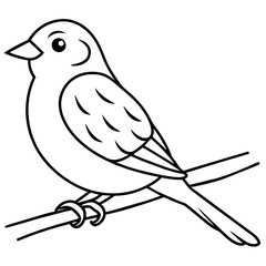  Bird vector illustration.