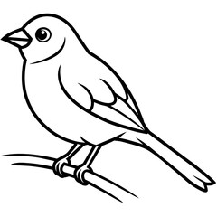  Bird vector illustration.