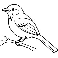  Bird vector illustration.