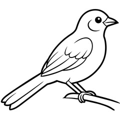 Obraz premium Bird vector illustration.