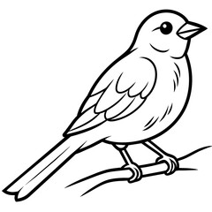  Bird vector illustration.