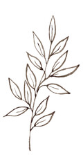 Contour image of a branch with leaves in brown shades