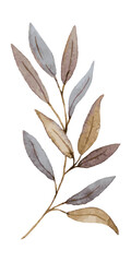 Curved branch with leaves in brown and gray tones