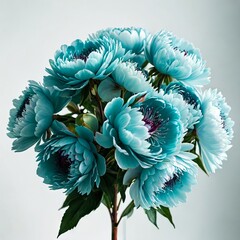  bouquet of peony on white