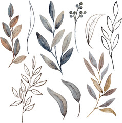 Set of elements of branches and leaves of plants of gray-brown shades
