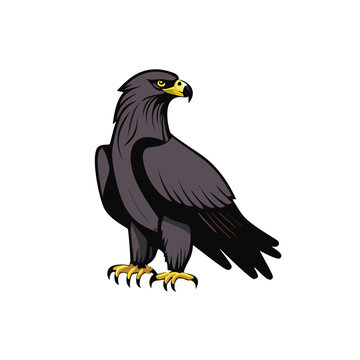 Eagle heads black and white vector, the Head of an eagle in the form of a stylized tattoo. Eagle Mascot Vector Illustration, eagle silhouette, logo, icon, design vector illustration for graphic design