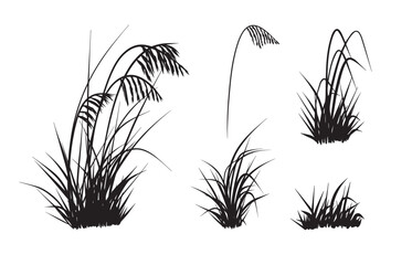 Beach grass vector silhouette. Black and white hand drawn illustration. 