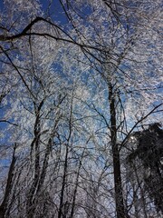 Late Winter / Early Spring in the Northeast USA
