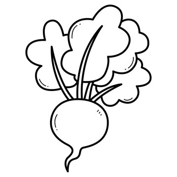 recommend clip art: Radish coloring book for kids. Coloring page with radish. Monochrome black and white illustration. Vector children's illustration.