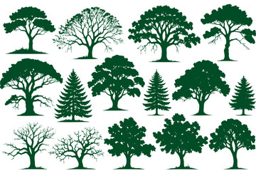 A collection trees in various sizes and shapes, with some of them being bare and others still green