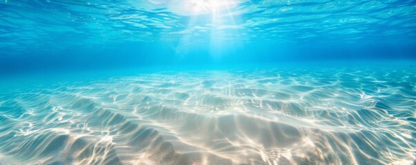 Serene underwater seascape with sunlight - obrazy, fototapety, plakaty