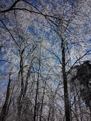 Late Winter / Early Spring in the Northeast USA