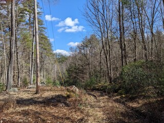 Late Winter / Early Spring in the Northeast USA