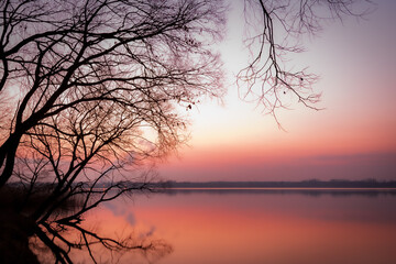 Czerwone niebo o zachodzie słońca, drzewo na brzegu, jezioro