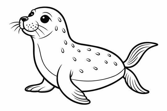 recommend clip art: Seal animal vector image outline for colouring vector image