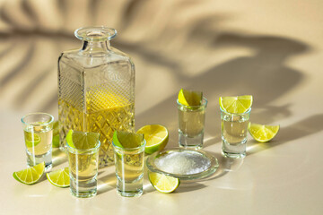Tequila with salt and lime slices.