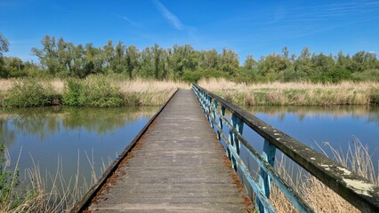 A serene wooden boardwalk with rustic blue railings stretches across a tranquil pond surrounded by...
