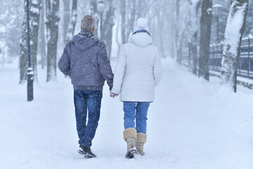 Happy senior couple walking at winter outdoors