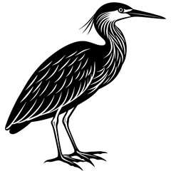 indian-pond-heron-or-paddy-bird-black-silhouette