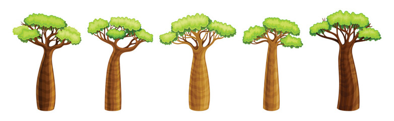 African Baobab Tree with Crown and Brown Trunk Vector Set