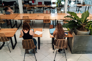 Rear view of two businesswomen at wooden desks in a spacious co-working space with natural decor, focused on their laptops, showcasing a modern collaborative work environment